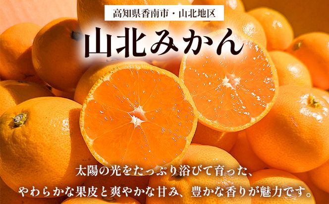 山北みかん（露地） 5.0kg 家庭用 sq-0003