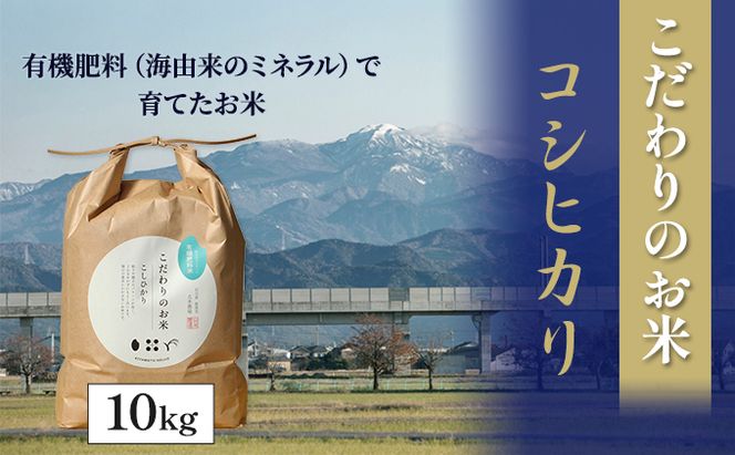 【4カ月連続でお届け】北本農場 「こだわりのお米」 令和7年度産　精米 10kg 
