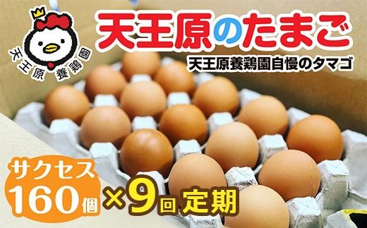 【定期便】9回定期 【天王原のたまご】 サクセス卵160個入り【定期便 9回定期便 セット たまご 卵 玉子 タマゴ 濃厚 ハリ 弾力 ボリューム 甘味 旨味 卵黄 風味 生 コク 甘味 卵かけご飯 卵焼き 目玉焼き オムレツ 茶碗蒸し お菓子作り パンの材料】