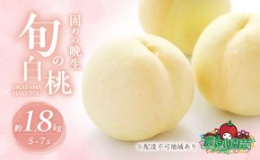 固めの 桃 2026年 先行予約 晩生の旬の 白桃 約1.8kg 5～7玉 進物用 もも モモ フルーツ 果物 岡山 赤磐市産 農マル園芸 あかいわ農園 家庭用 白皇 白露 甘々燦燦 あきぞら 西王母 瀬戸内白桃 