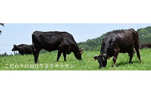 味付けホルモン　秘伝のタレ漬け　近江牛ミノ　900g（300g×3）【FO77W】
