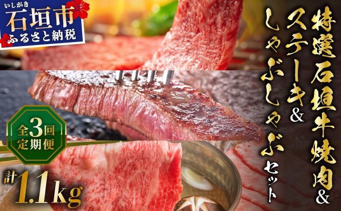 希少な特選石垣牛をご家庭で!!全3回合計1.1kg カルビ、赤身ステーキ各400gずつ、肩ロースしゃぶしゃぶ用300g &石垣牛 MARU秘伝の焼肉タレ100ml×1本