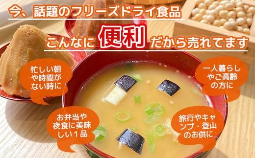 フリーズドライ業務用 揚げなすの味噌汁15食　BY007