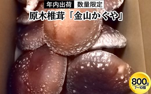 yxRːszyNoׁzʌ ؒőuRvːsRY /ޗ   ̂  R/xRːs 2025N12{`2026N4{ɏ\