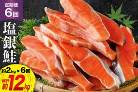 定期便 《6ヶ月連続お届け》 訳あり 銀鮭 切身 約2kg×6回 計12kg [宮城東洋 宮城県 気仙沼市 20564480] 鮭 海鮮 規格外 不揃い さけ サケ 鮭切身 シャケ 切り身 冷凍 家庭用 訳アリ おかず 弁当 支援 事業者支援