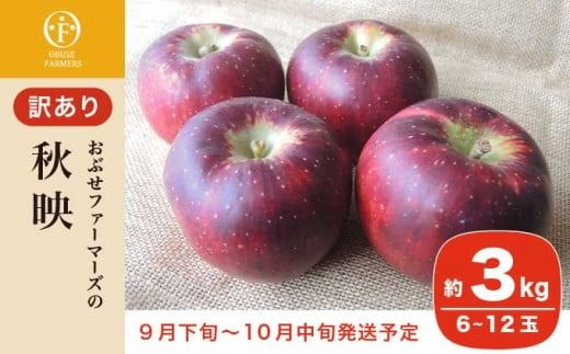 【訳あり】 秋映 約3kg 6～12玉 ［おぶせファーマーズ］ 不揃い 規格外 家庭用 果物 フルーツ りんご 林檎 リンゴ 長野県産 信州産 令和7年産 【2025年9月下旬〜10月中旬発送】 ［FH-52］