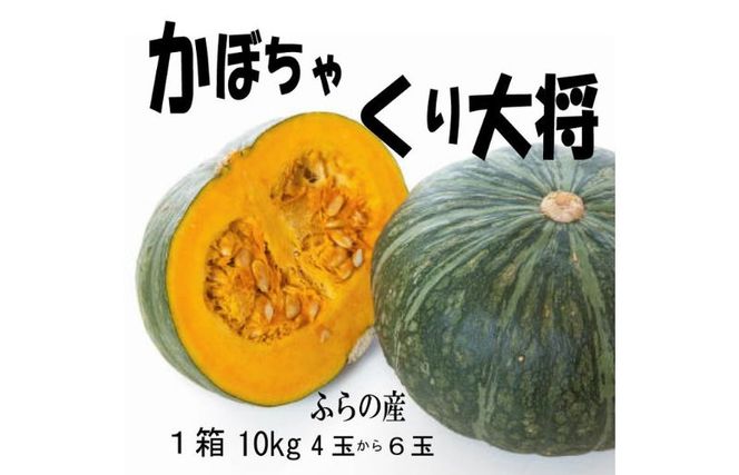 2026年秋発送【数量・期間限定】ふらの産 かぼちゃ10kg［くり大将］ 富良野 北海道 カボチャ 南瓜 甘い 野菜