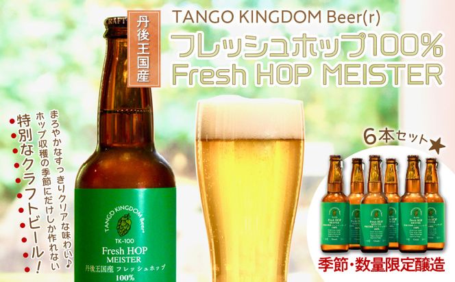 クラフトビール　TK100-Fresh HOP MEISTER ［Green］（瓶）　京丹後産ホップ使用　6本セット　TO00129