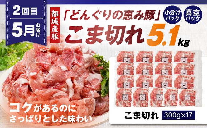 【事業者コラボ定期便】お肉のごちそう3ヶ月便≪4～6月お届け≫_T43-MY03
