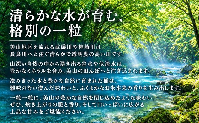 岐阜県美山産コシヒカリ 令和8年産 新米 5kg| 令和8年 米 精米 白米 お米 コシヒカリ こしひかり ツヤ 粘り 甘み ヤマガタ農産 ※2026年11月～発送