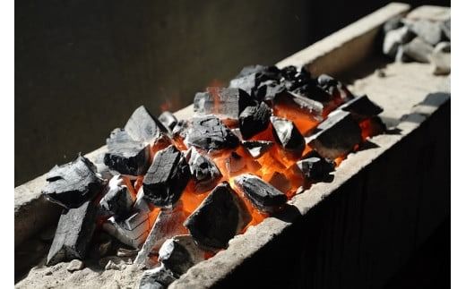 【備長炭で焼く“いい焦がし”】三河一色産うなぎの白焼 5尾 鰻 ウナギ 白焼き 国産 備長炭 土用 丑の日 冷凍 三河一色産 H189-034