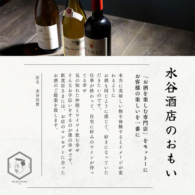 南濃みかんスパークリングワイン750ml＆南濃みかんGIN500ml ワイン スパークリングワイン ジン 酒 お酒 セット 南濃みかん 水谷酒店 岐阜 海津市