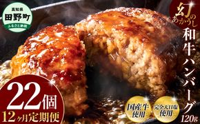 幻のあかうし和牛ハンバーグ 22個入り 12ヶ月定期便 1個120g 田野屋青蜂 白鯆 完全天日塩練り込み 肉 お肉 国産牛 土佐あかうし 四万十ポーク おかず 惣菜 おいしい お取り寄せ 冷凍 配送 高知県 田野町