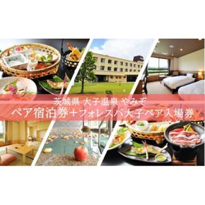 大子温泉 やみぞ 1泊2食付き ペア宿泊券＋フォレスパ大子 入場券 ペア入場券（AO005）