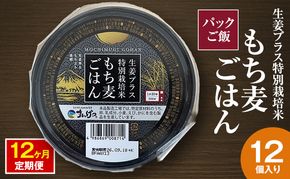 パックご飯 生姜プラス特別栽培米 もち麦ごはん 12個入り 12ヶ月定期便 静岡県 袋井市【離島配送不可】