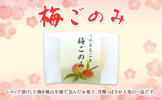 お菓子 和菓子詰め合わせ 10個 お菓子のよね村《30日以内に出荷予定(土日祝除く)》熊本県 長洲町 梅ごのみ 的ばかい 金魚もなか 送料無料---sn_yonetm_30d_r8_10500_10p---