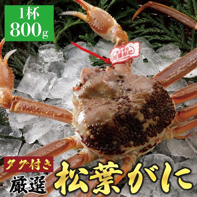 y挧khz762.yz 2025N11  tɁyuh^Otzi800g×1t) 313726_BS007VC01