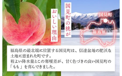 透過式光センサー川中島白桃 特秀5kg相当 15玉～18玉＜ ふくしま未来農業協同組合 ＞ | ふくしま 桃 福島 もも 国見 モモ ※2026年8月中旬頃より順次発送予定 ※沖縄・離島への配送不可