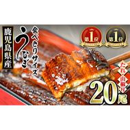 【0734328a】＜食べきりサイズ！＞東串良町のうなぎ蒲焼(無頭)(20尾・計2000g・タレ、山椒付) うなぎ 高級 ウナギ 鰻 国産 蒲焼 蒲焼き たれ 鹿児島 ふるさと 人気 【アクアおおすみ】