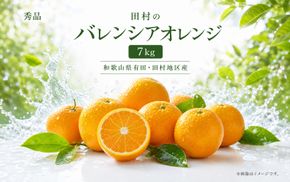 秀品　田村のバレンシアオレンジ　約7kg　※2027年6月下旬頃～7月上旬頃 順次発送予定【uot872】