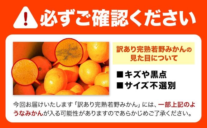 訳あり みかん 5kg 10kg 完熟 若野みかん 約5kg 約10kg サイズ混合 圦本農園 《11月下旬-12月中旬頃出荷》和歌山県 日高川町 送料無料 訳ありみかん 10キロ 5キロ わけありみかん わけあり 若野 みかん ミカン 柑橘 完熟 フルーツ 果物 お取り寄せフルーツ---wshg_yrm5_11g12c_25_11000_5kg---