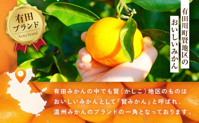 [秀品]有田のブランド「賢みかん」10kg(Lサイズ)［2026年11月中旬頃より順次発送］ BZ013