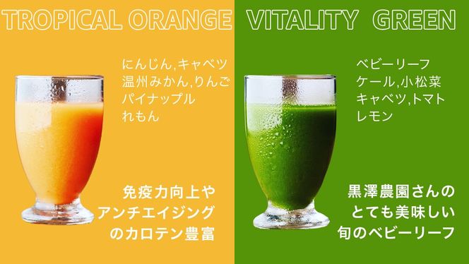 【1日ファスティングに最適】1day fasting コールドプレスジュース 6本セット 200ml×6種 酵素たっぷり 新鮮 野菜 果物使用