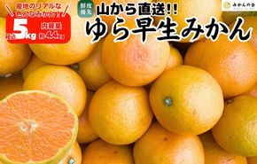 ゆら早生 みかん 山から直送 箱込 5kg (内容量 4.4kg) 採れたてそのままごろごろ規格 有田みかん 和歌山県産 【みかんの会】［2026年10月下旬頃より順次発送予定］ AX312