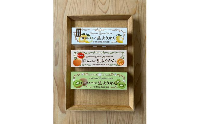 【さっぱりとした現代感覚のフルーツ生ようかんセット】（片浦レモン、小田原キウイ、燦々みかん 各1本）創業昭和10年 小田原 伊勢屋【 和菓子店 ようかん 神奈川県指定銘菓 神奈川県 小田原市 】 142069_FB006