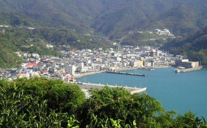 【先行予約】清見タンゴールジュース （720ml×3本）※離島への配送不可（2027年6月上旬より順次発送予定） IKTBD001