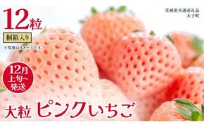桐箱入り 大粒 ピンクいちご 12粒【2026年12月上旬発送開始】(茨城県共通返礼品：大子町) いちご 苺 果物 フルーツ 果実
