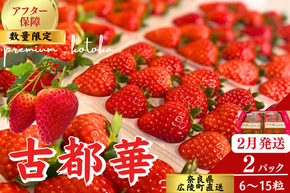 【数量限定】苺のごほうび【古都華】270g×2パック 　2月発送 // いちご イチゴ 古都華 奈良 奈良県