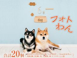 フォトわん FAA-187