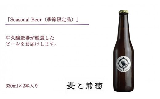 2年連続！《 ジャパン・グレートビア・アワーズ 受賞 》クラフトビール3種 計 6本セット 飲み比べ 茨城県産 牛久醸造場 330ml × 6本 ビール 地ビール クラフト お酒 贈り物 [BJ025us]