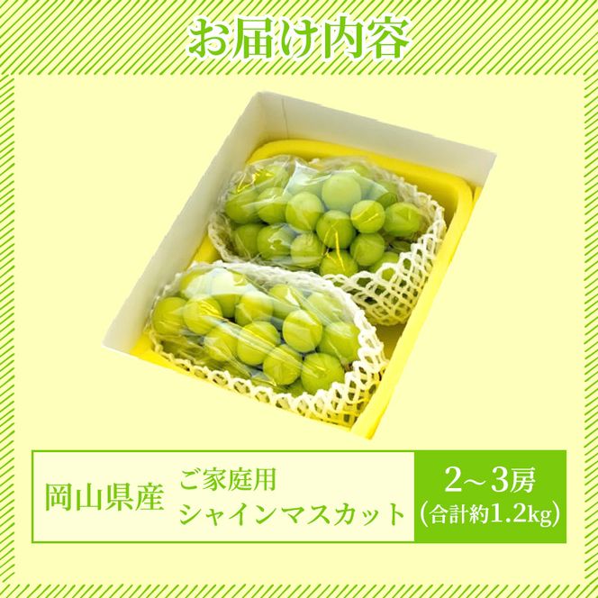 ぶどう 2026年 先行予約 ご家庭用 シャイン マスカット 2～3房 合計約1.2kg ブドウ 葡萄  岡山県産 国産 フルーツ 果物 ギフト
