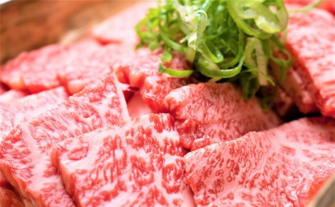 博多和牛 焼肉 セット 500g A4～A5 配送不可：離島 バーベキュー お肉 牛肉 バラ(カルビ) ロース 