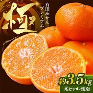 ＼光センサー選別／極 有田みかんプレミアム 約3.5kg【光センサー 高糖度選別品】2S～Lの小玉サイズ 有機質肥料100% | 光センサー選別 温州みかん みかん 高糖度 柑橘 果物 フルーツ 甘い◇