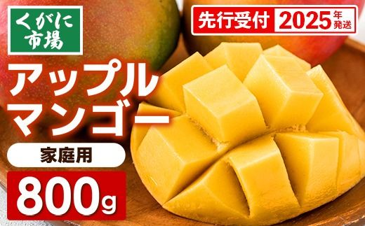 【先行受付】【2025年発送】くがに市場の産直アップルマンゴー約800g　2~4玉入り【ご家庭用・白箱】