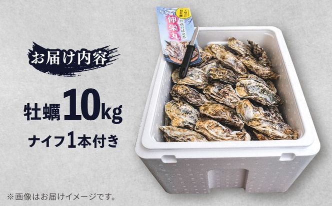 【加熱用】一粒牡蠣 カキ 10kg (牡蠣ナイフ付き) 糸島産 福吉 糸島市 / 伸栄丸 カキの佐々木 牡蠣 生カキ 生食用 殻付き カキ 生牡蛎[ATH004]