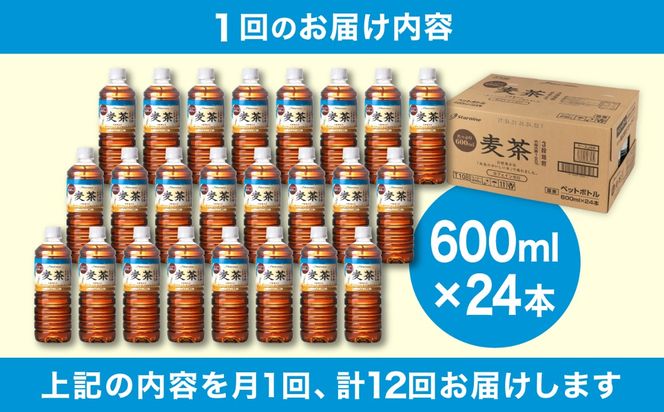 【全12回定期便】麦茶 600ml × 24本 糸島市 / スターナイン お茶 ペットボトル [ARM020] お茶 ペットボトル 500ml 24本 送料無料 麦茶 国産 常温