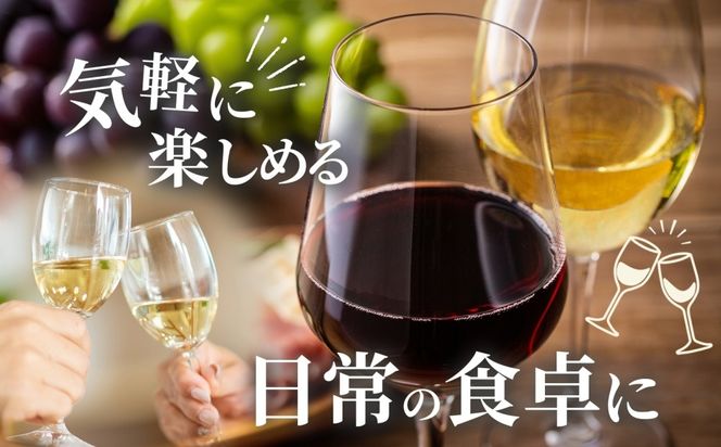 白ワイン NOVICEノヴィス 甲州 720ml×6本 フルボトル ワイン お酒 白 山梨 送料無料 日川中央葡萄酒 山梨県 笛吹市 177-7-30