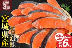 定期便 《3ヶ月連続お届け》 訳あり 宮城県産 熟成 銀鮭 切身 約2kg×3回 計6kg [宮城東洋 宮城県 気仙沼市 20564500] 魚 鮭 海鮮 国産 さけ 鮭 甘口 サケ 鮭切身 シャケ 切り身 冷凍 おかず 弁当 支援 事業者支援 サーモン