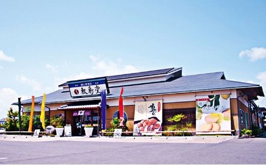 敷島堂　お菓子券　6,000円相当分（500円券×12枚） [№5735-0600]