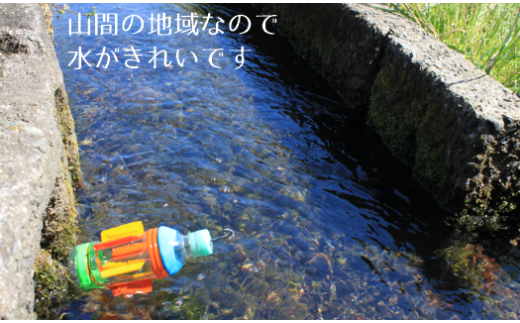 【先行予約】レンゲ 栽培米 夢つくし 10kg 【2025年10月以降順次発送】《築上町》【久楽農園】 [ABAT002]