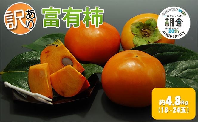 訳あり 柿 富有柿 約4.8kg 18～24玉 配送不可 離島 果物 フルーツ 秋の味覚 旬 デザート 果実 柿の王様 甘柿 代表品種 朝倉の柿 おやつ 