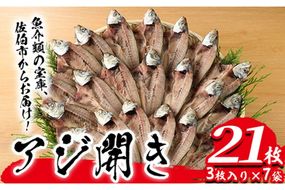 あじの開き(21枚)  魚 さかな 鯵 アジ おかず 肴 おつまみ 国産 大分県 佐伯市【GN011】【Ichihashi企画】