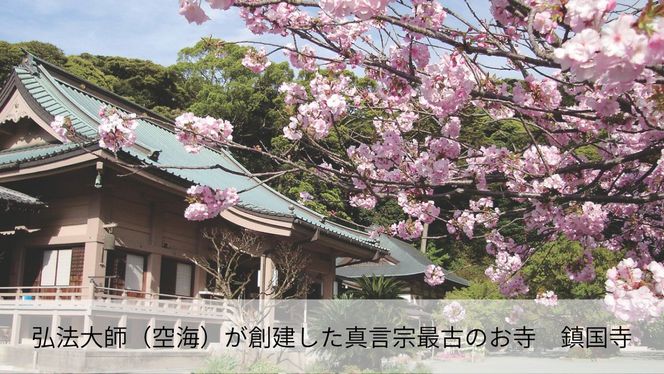 神職が語る宗像大社の真髄 ～世界遺産・宗像大社めぐり＆神職ガイド付き日帰り旅(1～3名同額プラン)～【宗像観光協会】_HA1868 宗像大社 世界遺産 神職 ガイド付き 日帰り旅 日帰り 旅 福岡県宗像市 宗像市 福岡 宗像