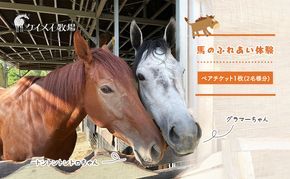 馬 の ふれあい体験 ペア チケット 1枚(2名様分) 体験 うま ケイメイ牧場 