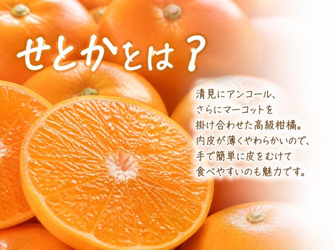 紀州有田産せとか約3kg［ご家庭用］　とろける食感！ジューシー柑橘［2027年2月下旬以降発送］［先行予約］［UT133］ 303446_XF91173