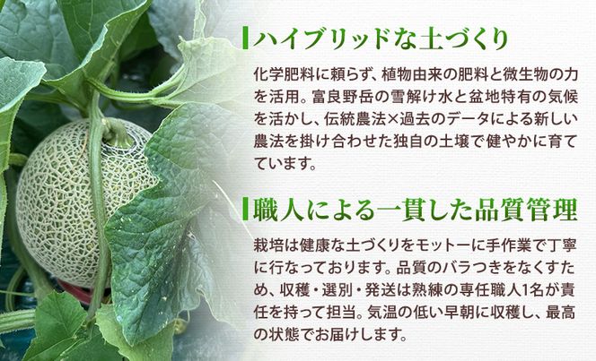 ＜2026年発送＞富良野メロン 秀品 4玉～5玉 （1玉約1.6kg～1.8kg）8kg箱 [ メロン フルーツ 果物 北海道 富良野 ]